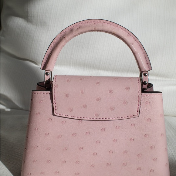 Louis Vuitton Pink Mini Capucine - Picture 9 of 15
